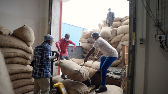 Transparency in cocoa supply chain infographic